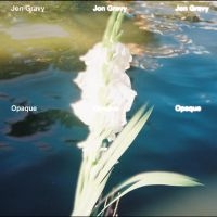 Jon Gravy - Opaque i gruppen VINYL / Kommende / Pop-Rock hos Bengans Skivbutik AB (5640925)