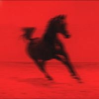 Red Rum Club - Buck i gruppen VINYL / Kommende / Pop-Rock hos Bengans Skivbutik AB (5641051)
