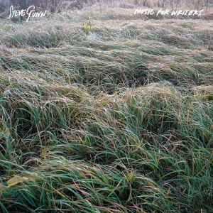 Gunn Steve - Music For Writers i gruppen CD / Pop-Rock hos Bengans Skivbutik AB (5641196)