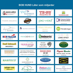 Bob Hund - Låter Som Miljarder i gruppen VINYL / Kommende / Pop-Rock hos Bengans Skivbutik AB (5641304)