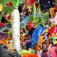 Jetski - The Radiant Radish i gruppen Kommende / Pop-Rock hos Bengans Skivbutik AB (5641544)