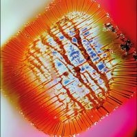 Mac Declos - Nothing Stands Still i gruppen VI TIPSER / Fredagsutgivelser / 2025-10-03 hos Bengans Skivbutik AB (5641579)