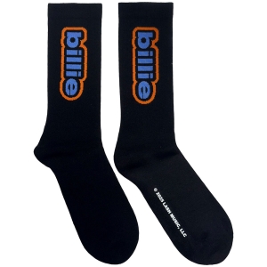 Billie Eilish - Outline Logo Uni Bl Socks (Eu 36-40) i gruppen MERCHANDISE /  /  hos Bengans Skivbutik AB (5641761)
