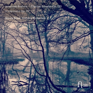 Johannes Brahms - Clarinet Sonatas, Op. 120 & 3 Inter i gruppen CD / Kommende / Klassisk hos Bengans Skivbutik AB (5641993)