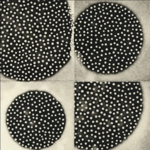 Leimer K. - Resting Forms i gruppen VI TIPSER / Fredagsutgivelser / 2025-09-19 hos Bengans Skivbutik AB (5642287)