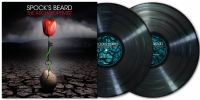 SpockS Beard - Archaeoptimist The (2 Lp Black Viny i gruppen VINYL / Kommende / Pop-Rock hos Bengans Skivbutik AB (5642315)