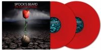 SpockS Beard - Archaeoptimist The (2 Lp Red Vinyl) i gruppen VINYL / Kommende / Pop-Rock hos Bengans Skivbutik AB (5642317)