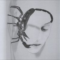 Tortoise - Touch i gruppen CD / Kommende / Pop-Rock hos Bengans Skivbutik AB (5642365)