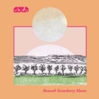 Gulp - Beneath Strawberry Moons i gruppen VI TIPSER / Hjem - CD Nyheter & Kommende hos Bengans Skivbutik AB (5642596)