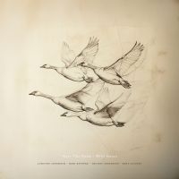 Cronholm Josefine Kirk Knuffke Mfl - Near The Pond: Wild Geese i gruppen VI TIPSER / Hjem - CD Nyheter & Kommende hos Bengans Skivbutik AB (5643011)