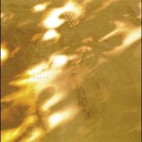 Svaneborg Kardyb - Haven i gruppen VINYL / Kommende / Jazz hos Bengans Skivbutik AB (5643105)