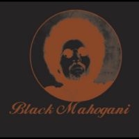 Moodymann - Black Mahogani i gruppen VINYL / Kommende / Pop-Rock hos Bengans Skivbutik AB (5643114)
