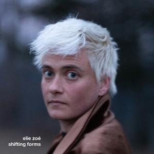 Elie Zoé - Shifting Forms i gruppen CD / Kommende / Pop-Rock hos Bengans Skivbutik AB (5643230)