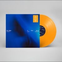 Mr. Käfer - A Past Sense i gruppen VINYL / Kommende / Pop-Rock hos Bengans Skivbutik AB (5643356)