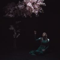 Daedric - As The Light Left i gruppen VINYL / Toppselgere hos Bengans Skivbutik AB (5643434)