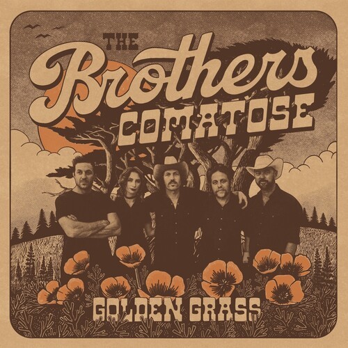 The Brothers Comatose - Golden Grass i gruppen VINYL / Toppselgere hos Bengans Skivbutik AB (5643584)