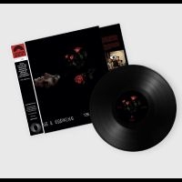 The Felt Tips - Living & Growing i gruppen VINYL / Kommende / Pop-Rock hos Bengans Skivbutik AB (5644324)