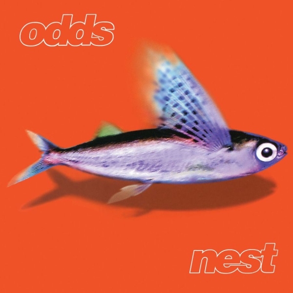 Odds - Nest i gruppen VI TIPSER / Fredagsutgivelser / 2025-11-21 hos Bengans Skivbutik AB (5644339)