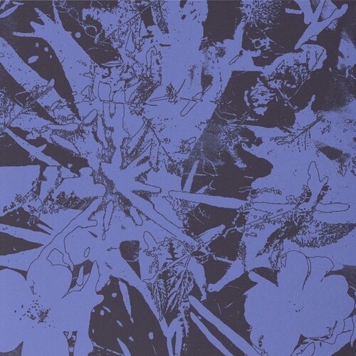 Plants Heal - Forest Dwellers i gruppen VINYL / Pop-Rock hos Bengans Skivbutik AB (5644550)