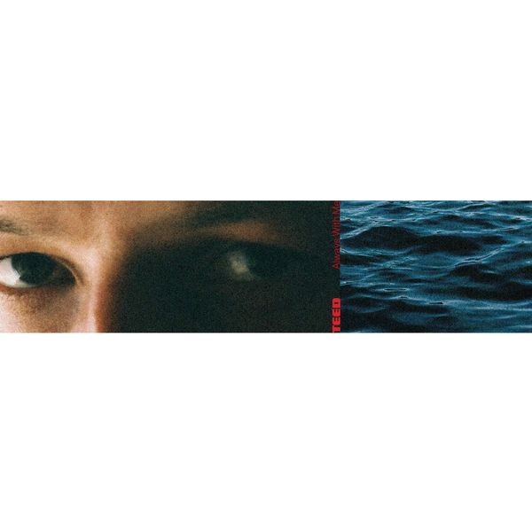 Teed - Always With Me (Black Lp) i gruppen VINYL / Pop-Rock hos Bengans Skivbutik AB (5645216)