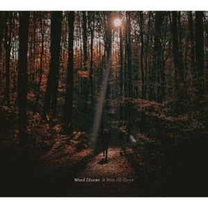 Ward Dhoore - It Was All Heart i gruppen CD / Pop-Rock hos Bengans Skivbutik AB (5645430)