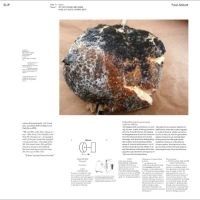 Paul Abbott - Slip i gruppen VINYL / Kommende / Pop-Rock hos Bengans Skivbutik AB (5645571)