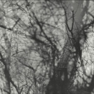 Grouper - Way Their Crept i gruppen CD / Kommende / Pop-Rock hos Bengans Skivbutik AB (5645865)