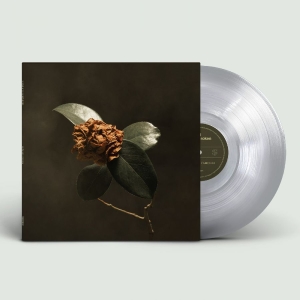 St. Paul & The Broken Bones - Young Sick Camellia i gruppen VINYL / Kommende / Pop-Rock hos Bengans Skivbutik AB (5646051)