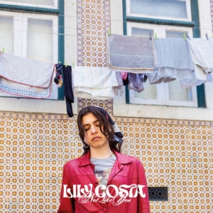 Costa Lily - Not Like You i gruppen VINYL / Kommende / Pop-Rock hos Bengans Skivbutik AB (5646054)