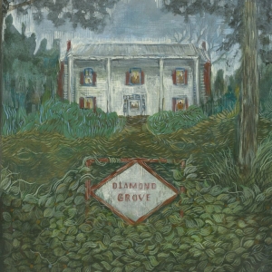 Weirs - Diamond Grove i gruppen VINYL / Kommende / Pop-Rock hos Bengans Skivbutik AB (5646106)