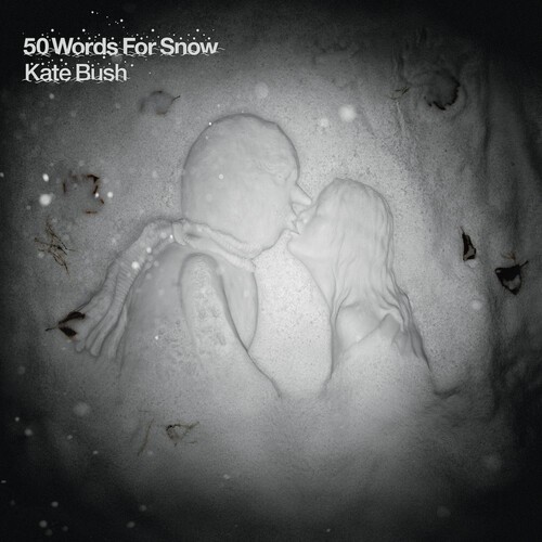 Kate Bush - 50 Words For Snow i gruppen CD / Pop-Rock hos Bengans Skivbutik AB (5646822)