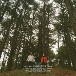Constant Smiles - Moonflowers (Ltd Milky Clear Vinyl) i gruppen VINYL / Kommende / Pop-Rock hos Bengans Skivbutik AB (5646850)