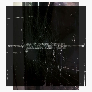 Sanguis - Wounding i gruppen VI TIPSER / Fredagsutgivelser / 2025-11-07 hos Bengans Skivbutik AB (5646886)