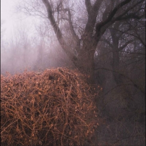 The Devil?S Trade - Nincs Szennyezetlen Szép i gruppen VI TIPSER / Fredagsutgivelser / 2025-11-07 hos Bengans Skivbutik AB (5646918)