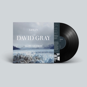 David Gray - Life In Slow Motion (20Th Anniversary Vinyl) i gruppen VINYL / Kommende / Pop-Rock hos Bengans Skivbutik AB (5647001)