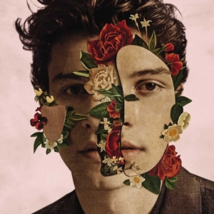Shawn Mendes - Shawn Mendes i gruppen -Start Uni-CD hos Bengans Skivbutik AB (5647182)