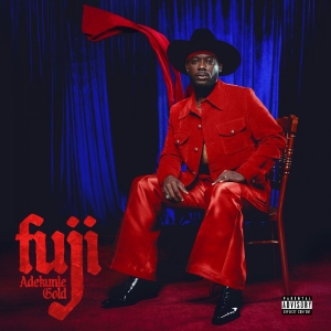 Adekunle Gold - Fuji i gruppen VINYL / Kommende / Pop-Rock hos Bengans Skivbutik AB (5647358)