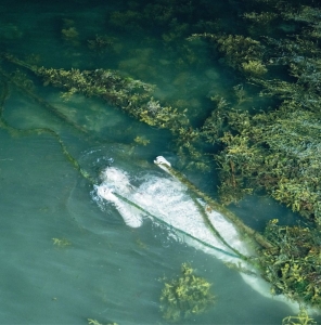 Pietu Arvola - Meidän Täytyy Valvoa Jottemme Nukku i gruppen VINYL / Kommende / Dance-Techno hos Bengans Skivbutik AB (5647532)