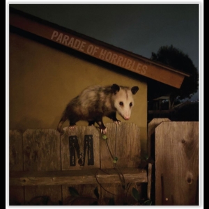 Parade Of Horribles - Nma i gruppen VI TIPSER / Hjem - Vinyl Nyheter & Kommende hos Bengans Skivbutik AB (5648568)