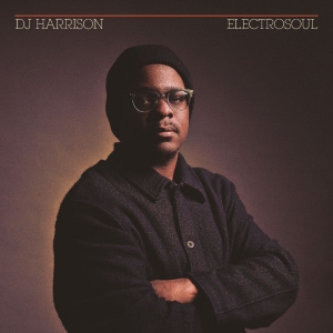 Harrison Dj - Electrosoul i gruppen VINYL / Kommende / Pop-Rock hos Bengans Skivbutik AB (5648888)