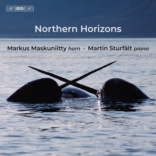 Markus Maskuniitty - Northern Horizons i gruppen Musikk / SACD / Klassisk hos Bengans Skivbutik AB (5649639)