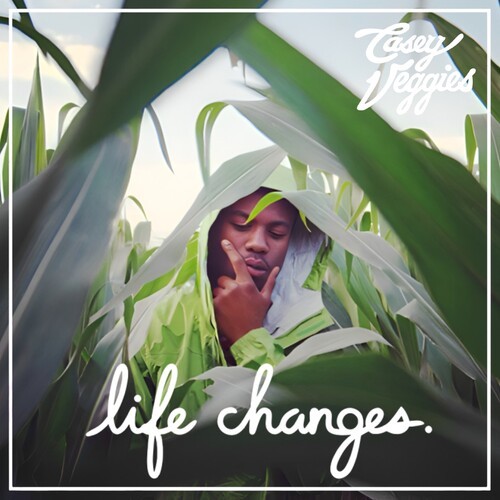 Casey Veggies - Life Changes i gruppen VINYL / Pop-Rock hos Bengans Skivbutik AB (5650076)