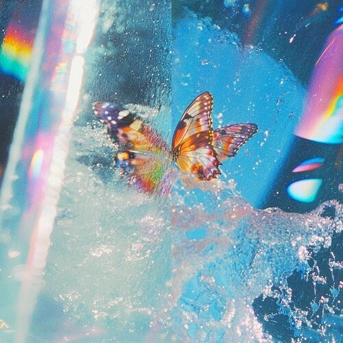 Daphni - Butterfly i gruppen CD / Toppselgere hos Bengans Skivbutik AB (5650098)