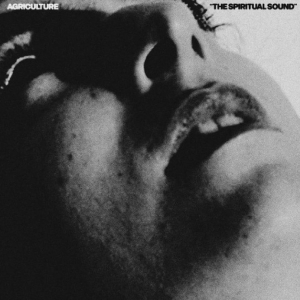 Agriculture - The Spiritual Sound i gruppen VI TIPSER / Hjem - Vinyl Nyheter & Kommende hos Bengans Skivbutik AB (5650608)