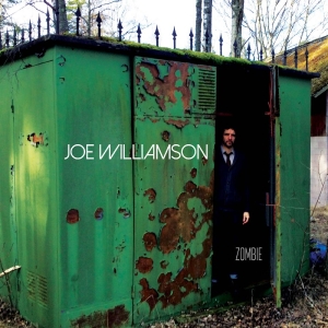 Joe Williamson - Zombie i gruppen VINYL / Nyheter / Pop-Rock hos Bengans Skivbutik AB (5650660)