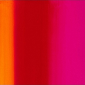 Various Artists - Eat Your Own Ears Recordings Volume i gruppen VINYL / Kommende / Pop-Rock hos Bengans Skivbutik AB (5650965)