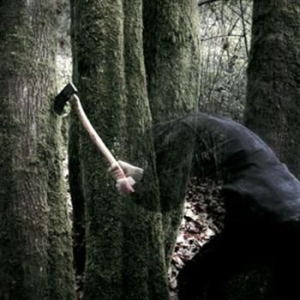 Baptists - Bushcraft i gruppen CD hos Bengans Skivbutik AB (565115)