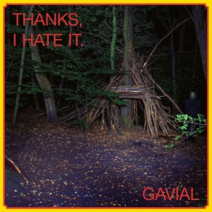 Gavial - Thansk, I Hate It (Vinyl Lp + Cd) i gruppen VINYL / Kommende / Pop-Rock hos Bengans Skivbutik AB (5651528)