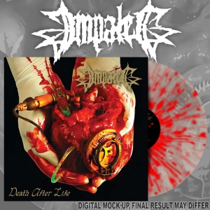 Impaled - Death After Life (Splatter Vinyl Lp i gruppen VINYL / Kommende / Metal hos Bengans Skivbutik AB (5651660)