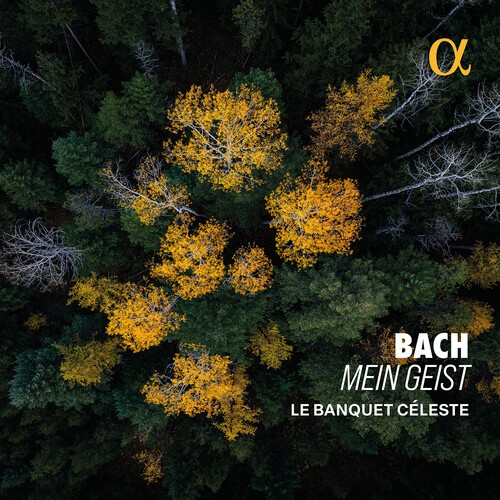 Bach J S - Mein Geist i gruppen CD / Klassisk hos Bengans Skivbutik AB (5651732)